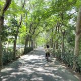 由 ineedfreedome (刊登 ID 1369448969，圖片 1) 提交，位於 的 (類別：)，說明：。