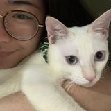 (分類:)位於 。 由 sellemily517 提交(商品編號 1467325282,圖片 1)。簡介: 。