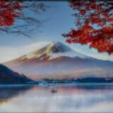 (Category: ) located in . Submitted by itshiro (Listing ID 1094495907, Image 1). Description: .