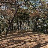 (Category: ) located in . Submitted by arigatoooo (Listing ID 1337798279, Image 1). Description: .