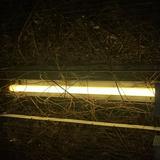 （分類：）位於 。 由 1124l 提交（商品編號 1370958380，圖片 1）。簡介： 。