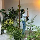 由 buyonepanda (刊登 ID 1381520846，圖片 1) 提交，位於 的 (類別：)，說明：。