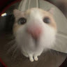 (Category: ) located in . Submitted by izzloney649093 (Listing ID 1460632569, Image 1). Description: .