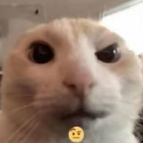 （分類：）位於 。 由 wifung3 提交（商品編號 1343390458，圖片 1）。簡介： 。