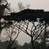 (Category: ) located in . Submitted by cjdhdlgdlgdgydk (Listing ID 1335327213, Image 1). Description: .