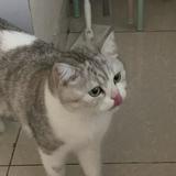 （分類：）位於 。 由 kkwong0419 提交（商品編號 1349663616，圖片 1）。簡介： 。