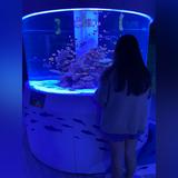 由 Azi__119 (刊登 ID 1283257135，圖片 1) 提交，位於 的 (類別：)，說明：。