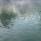 (Category: ) located in . Submitted by evind (Listing ID 1348356499, Image 1). Description: .