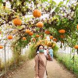 由 omia90506 (刊登 ID 1367555264，圖片 1) 提交，位於 的 (類別：)，說明：。