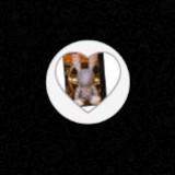 (Category: ) located in . Submitted by ronalddseik0 (Listing ID 1442396960, Image 1). Description: .