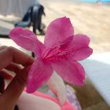 (Kategori: ) berada di . Dikirim oleh damipreloved (ID iklan 1251200126, Gambar 1). Deskripsi: .