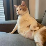 (Category: ) located in . Submitted by caristoles (Listing ID 1380406805, Image 1). Description: .