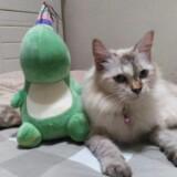 (Kategori: ) berada di . Dikirim oleh prelovedbyHil18 (ID iklan 1254087153, Gambar 1). Deskripsi: .