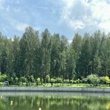 (Category: ) located in . Submitted by 21 (Listing ID 1371384868, Image 1). Description: .