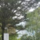 (Category: ) located in . Submitted by hellowoo1 (Listing ID 1448504537, Image 1). Description: .