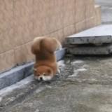(Category: ) located in . Submitted by b5rnic5.c (Listing ID 1378957630, Image 1). Description: .