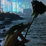 (分類:)位於 。 由 cherry5200 提交(商品編號 1452001312,圖片 1)。簡介: 。