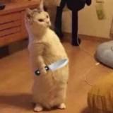 (Category: ) located in . Submitted by fatcatpearls (Listing ID 1439511460, Image 1). Description: .