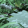 (Category: ) located in . Submitted by soapakmd (Listing ID 1445183391, Image 1). Description: .
