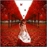 (Category: ) located in . Submitted by chicmaxidr98730 (Listing ID 1232877950, Image 1). Description: .
