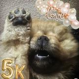 （分類：）位於 。 由 siutedted 提交（商品編號 1012620409，圖片 1）。簡介： 。