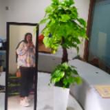 (Kategori: ) berada di . Dikirim oleh teh_iis. (ID iklan 1202856287, Gambar 1). Deskripsi: .