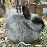 （分類：）位於 。 由 iknowthatfeelbrosss 提交（商品編號 1385407300，圖片 1）。簡介： 。