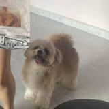 (Category: ) located in . Submitted by emlcarou (Listing ID 1375837417, Image 1). Description: .