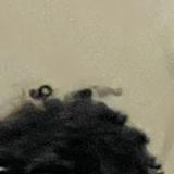 (Category: ) located in . Submitted by Un_nvc (Listing ID 1381083084, Image 1). Description: .