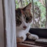 (Category: ) located in . Submitted by gayle.f (Listing ID 1200267877, Image 1). Description: .
