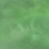 (Category: ) located in . Submitted by npc1A (Listing ID 1304520225, Image 1). Description: .