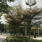 (Kategori: ) berada di . Dikirim oleh kamusukabag (ID iklan 1273266642, Gambar 1). Deskripsi: .