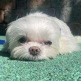 (Category: ) located in . Submitted by hyunniex (Listing ID 1373754045, Image 1). Description: .