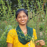 (Category: ) located in . Submitted by nikhila_8796 (Listing ID 1379068309, Image 1). Description: .