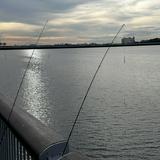 (Category: ) located in . Submitted by Desmondddd (Listing ID 1380395519, Image 1). Description: .
