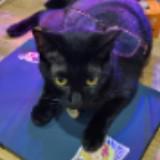 (Category: ) located in . Submitted by Elmooo (Listing ID 1240944839, Image 1). Description: .