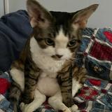 (Category: ) located in . Submitted by jack. (Listing ID 1385420833, Image 1). Description: .