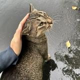 （分類：）位於 。 由 jasmineleungg 提交（商品編號 1371423965，圖片 1）。簡介： 。