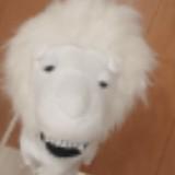 (Category: ) located in . Submitted by cwxsh (Listing ID 1384211474, Image 1). Description: .