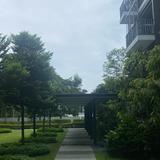 (Category: ) located in . Submitted by sevins (Listing ID 1454829667, Image 1). Description: .