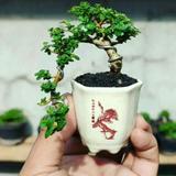 (Kategori: ) berada di . Dikirim oleh user75000 (ID iklan 1385951351, Gambar 1). Deskripsi: .