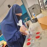 (Category: ) located in . Submitted by bismillah_bakery (Listing ID 1157389221, Image 1). Description: .