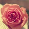 (Category: ) located in . Submitted by diyanaaziz05 (Listing ID 1455177745, Image 1). Description: .