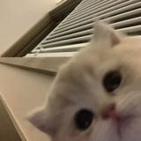 (Category: ) located in . Submitted by vvyly (Listing ID 1415115852, Image 1). Description: .