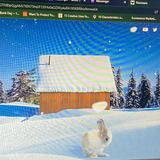 (Category: ) located in . Submitted by ellasellingstuffs (Listing ID 1250973233, Image 1). Description: .