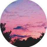 (Category: ) located in . Submitted by silkroad1384 (Listing ID 1263210123, Image 1). Description: .