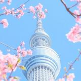 (分類:)位於 。 由 jnualan 提交(商品編號 1343806808,圖片 1)。簡介: 。