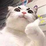 (分類:)位於 。 由 lam0823 提交(商品編號 1451672058,圖片 1)。簡介: 。