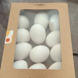 （分類：）位於 。 由 MSSpecialtyStore 提交（商品編號 1358888668，圖片 1）。簡介： 。