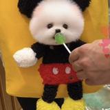 (Category: ) located in . Submitted by joy10 (Listing ID 1288996708, Image 1). Description: .